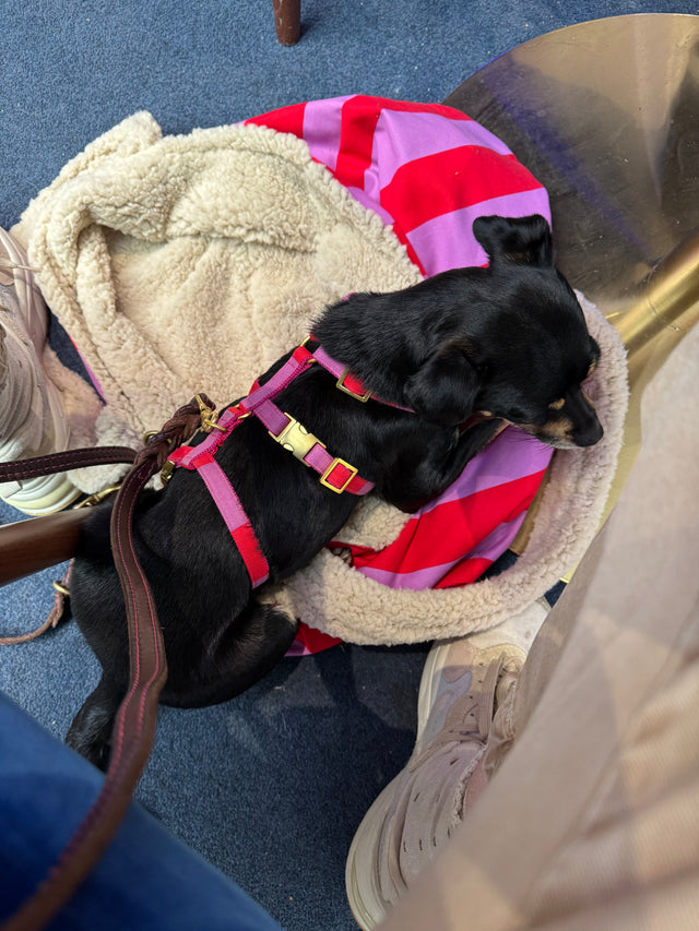 DECKENtasche