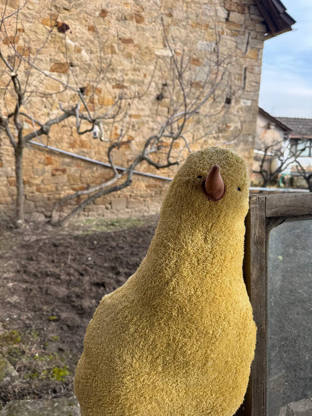 Kissen KÜCKEN Berthold